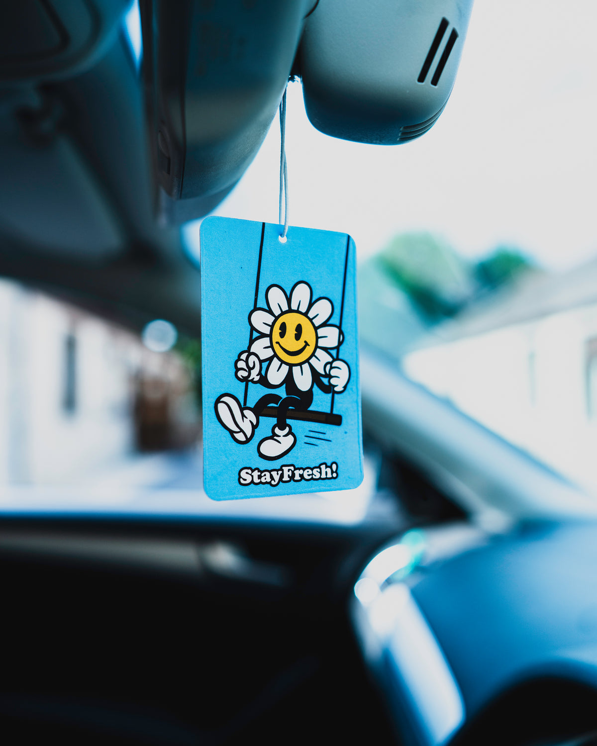 Daisy Swinger