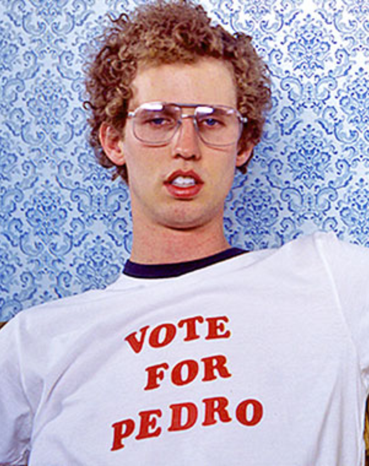 Vote For Pedro